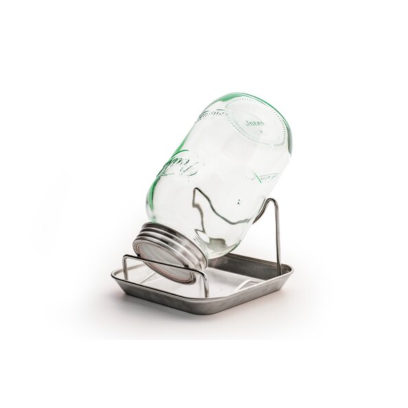Seed Glass set Wildglas 1000 ml