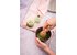 matcha_pulver.jpg